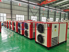 Papaya drying machine