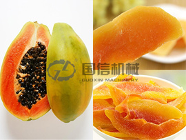 Papaya drying machine